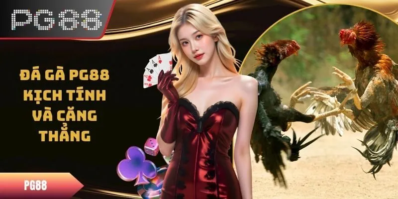 Đá Gà PG88 - Trải Nghiệm Trận Đấu Kịch Tính Và Căng Thẳng