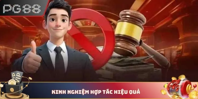 Kinh nghiệm hợp tác hiệu quả